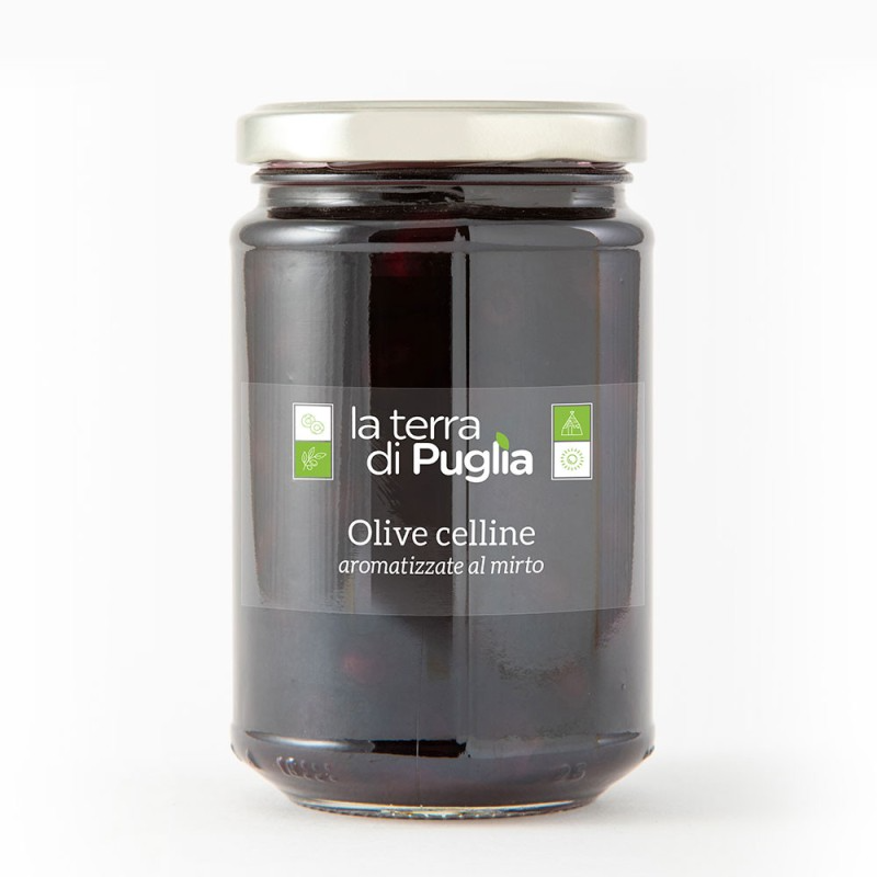 OLIVE CELLINE