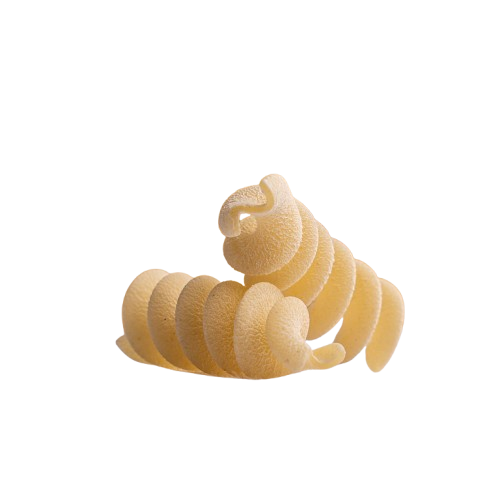 Pasta secca di grano duro Senatore Cappelli (400 gr)